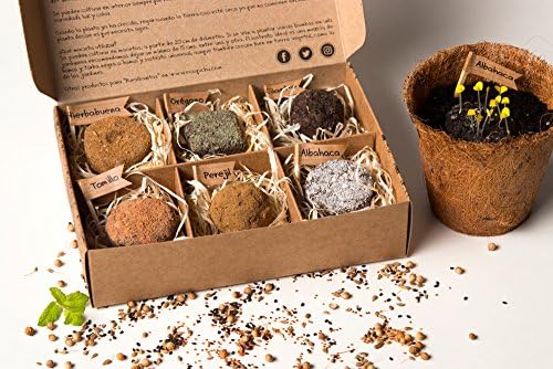 Pack 6 bombas de semillas aromáticas (6, 6 bombas de semillas ...