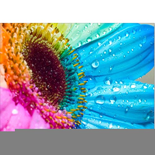 Norbi Painting With Diamonds, Rainbow Flower Embroidery Diamond by Number Kits Rhinestone Painting Cross Stitch Kit Wall Art Decor for Kids Adult Beginner