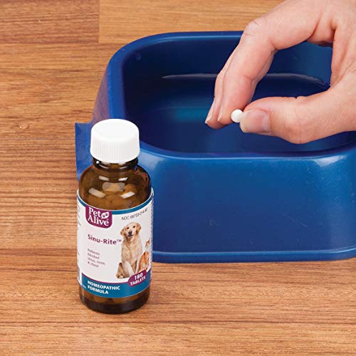 PetAlive Sinu-Rite - Natural Homeopathic Formula for Allergy-Related Congestion and Acute Sinusitis in Dogs and Cats - Relieves Blocked Sinus, Nose and Chest in Pets - 180 Tablets - Thumbnail 4