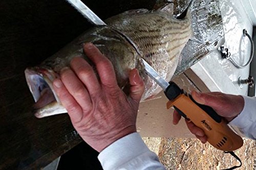 2 American+Angler+Professional+Electric+Sportsmens
