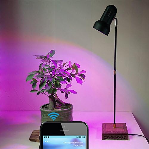 Full Spectrum 30W LED Plant Grow Light System Stand Floor Desk Lamp with Timer Switch and Vintage Wooden Base for Home Indoor Plants Veg Flower (with timer switch)