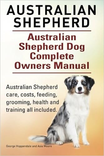 Australian Shepherd. Australian Shepherd Dog Complete Owners Manual. Australian Shepherd care, costs, feeding, grooming �y�[�p�[�o�b�N - 2015/3/31