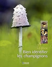 Bien identifier les champignons