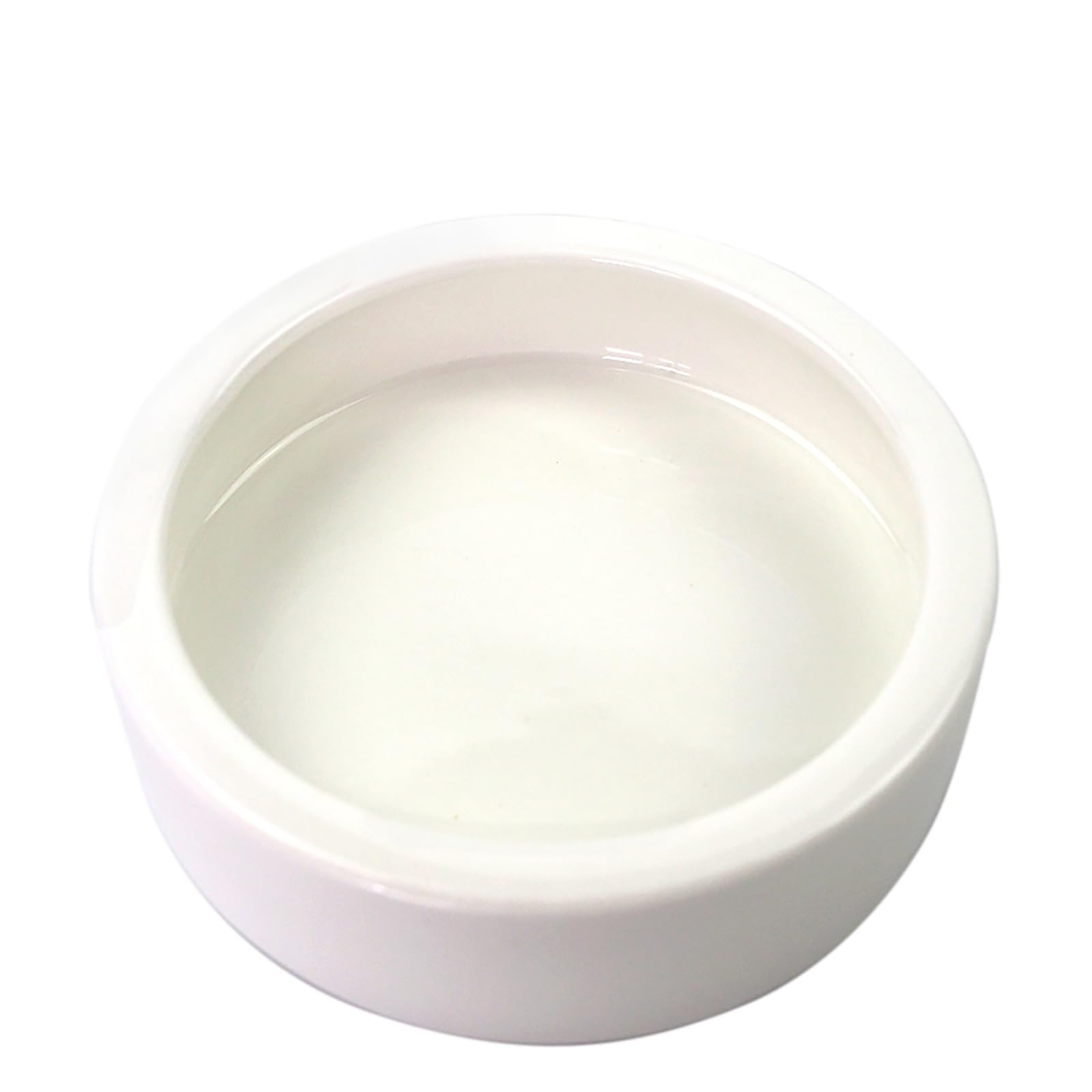 OMEM Worm Dish Mini Reptile Food Bowl Ceramics Made (L)