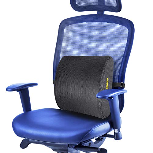 Goodyear, GY1003 Lumbar Support Pillow 100 Pure Memory Foam Helps