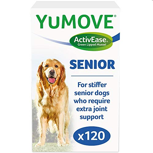 senior dog flea control