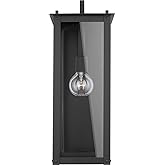 Capital Lighting 934612BK Hunt Urban/Industrial Clear Glass Rectangular Outdoor Wall Lantern, 1-Light 100 Watt, 21" H x 8" W,