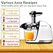 Slow Juicer,AMZCHEF Slow Masticating Juicer Extractor Professional Machine with Quiet Motor/Reverse Function,Cold Press Juicer with Brush,for High Nutrient Fruit & Vegetable Juice