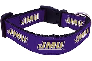 All Star Dogs NCAA Unisex-Adult Dog Collar