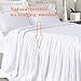 Queen's House Ruffle Skirt Bedspread French Country Bedspread White King Size 3 Piece Set