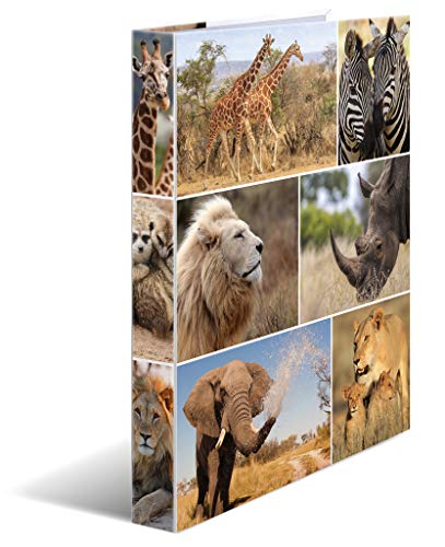 HERMA 19476 Ring Binders A4 Animals Africa, Pack of 3, Slim, 2 Rings, 35 mm Wide, Cardboard Folder with Inner Print for School and Office, Sturdy Cardboard Ring Binder Set for Boys and Girls