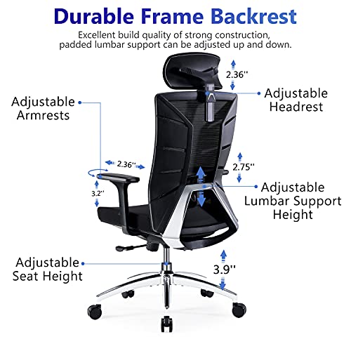 Ergonomic Office Chair, High Back Desk Chair with Adjustable Lumbar