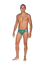 ARENA Men's Previous Season Team Color Print 3-Inch