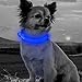 BSEEN Light Up Dog Collar - Reflective LED Dog Collar Rechargeable Glowing Cat Collars Adjustable Puppy Collar Safety Dog Lights for Night Walking (Blue, XS)