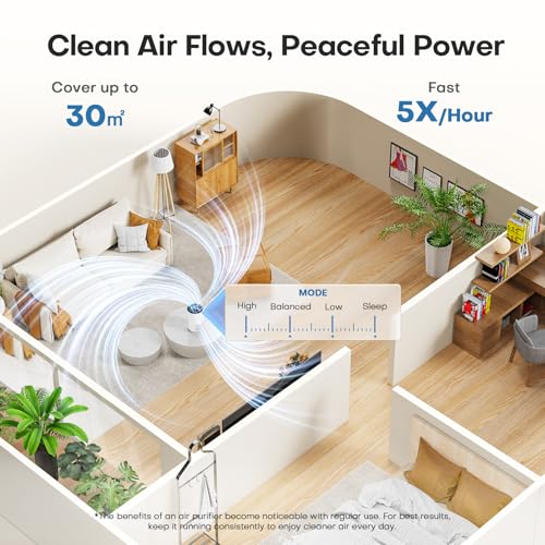 Air Purifiers for Bedroom Home, H13 True HEPA Filter Cleaner with Fragrance Sponge Covers up to 386 Sq Ft, for 99.97% Smoke, Dust, Odors, Pollen, Pet Dander, Office Desktop Small Room, MJH001A White