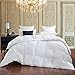 Luxurious Queen Size Siberian Goose Down Comforter, 600 Thread Count 100% Egyptian Cotton Cover, Solid White Color, 60 Oz Fill Weight, All Season Down Comforter