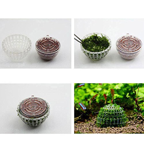 Stebcece Hot Mineral Natural Aquatic Moss Ball for Aquarium Crystal Red Shrimp Fish Tank - Thumbnail 6