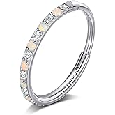 limerencia Nose Rings Hoop - 20G Titanium Opal Cubic Zirconia Nose Ring for Women Men, Hinged Segment Septum Lip Rings Cartilage Conch Rook Helix Tragus Daith Earrings, Piercing Jewelry