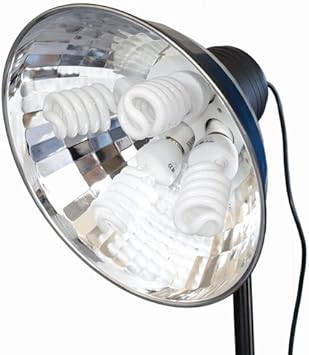 Amazon Com Promaster Super Cool Light 4 Studio Photography Light Photographic Monolights Camera Photo