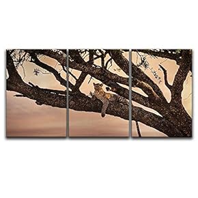 3 Panel Canvas Wall Art - Leopard Lying on a Tree Branch - Giclee Print Gallery Wrap Modern Home Art Ready to Hang - 16"x24" x 3 Panels