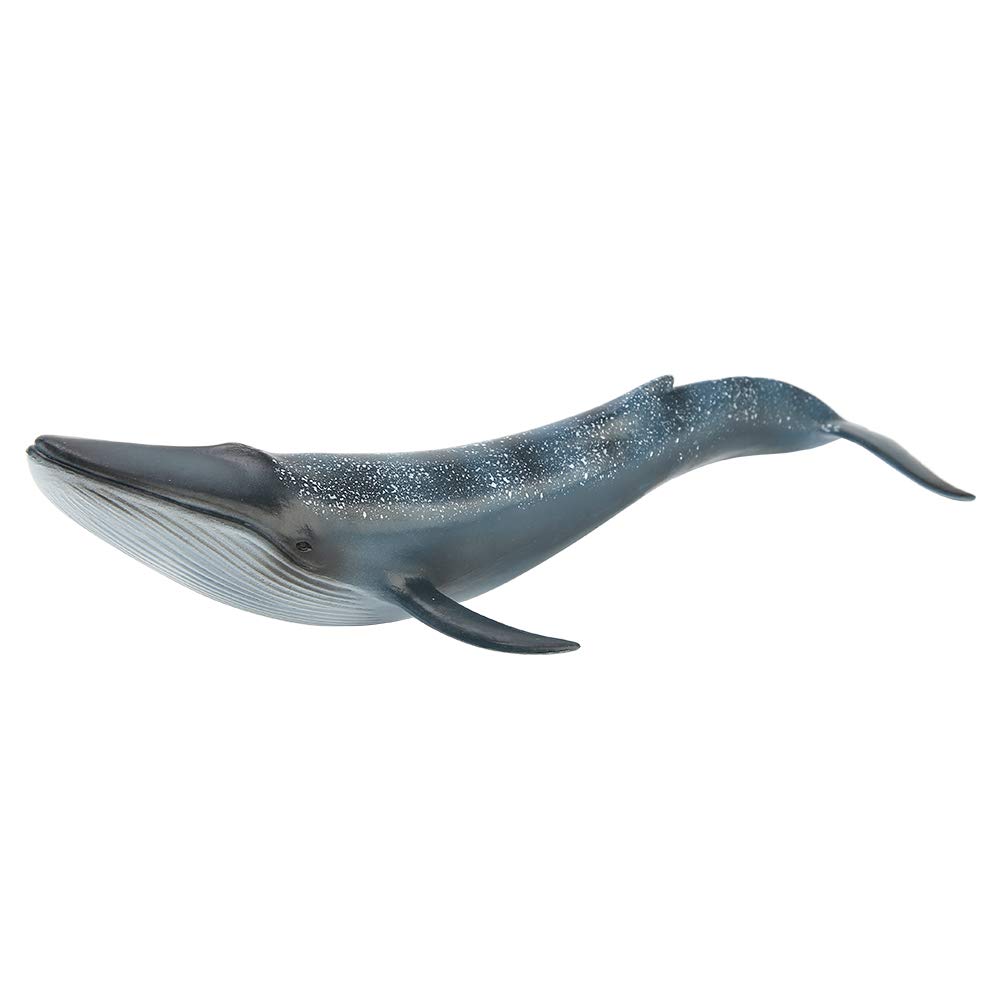 VGEBY Whale Figurine Models, Sea Life Marine Animal Whale Simulation Model for Home Accessory(Blue Whale) Kids Toys