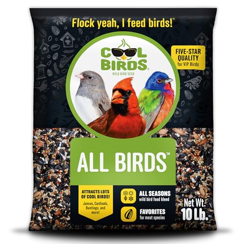 Cool Birds All Birds Wild Bird Seed