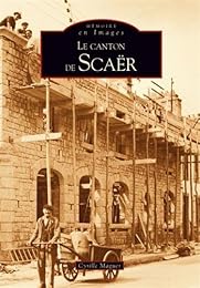 Le  canton de Scaër