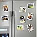 Refrigerator Magnets,35PCS Premium Brushed Nickel Round Magnets, Fridge Magnets,Office Magnets by ETO MAGNETIC – 8 X 3 mm magnets