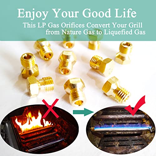 MEANHDAG Grill LP Gas Conversion Kit for er, Brass Jet Nozzle for Propane LPG, DIY Burner