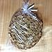 100 Clear Treat & Favor Bags | Ties Included | Great For Cake Pops, Candy, Gifts, Wedding or Party Favors | Food Safe Plastic | Stronger Than Cellophane | 1.5 Mils Thickness | 5.75