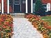 Marigold Border Seed Garden Mat - Instant Garden, Roll N Grow - Seeded Mat - Just Roll and Grow! (Easy & Hassle Free!) Grow Flowers Quickly & Easily!