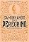 Livro Caminhando com o peregrino: Retratos de porções da imortal alegoria de John Bunyan (Clássicos da literatura cristã)