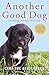 Another Good Dog: One Family and Fifty Foster Dogs by Cara Sue Achterberg