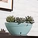 Santino, Self Watering Planter CALIPSO Oval Shape L 9.4 Inch x H 5.1 Inch Shade/Shade, Indoor Flower Pot for All House Plants, Flowers, Orchids