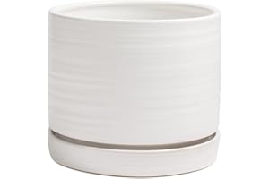 HERDUK 8 Inch Pots for Plants, Ceramic Planter Pot with Drainage Hole & Saucer, Indoor/Outdoor Cylinder Round Planter Pot, Matte White