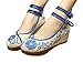 AvaCostume Women's Embroidery Strappy Round Toe Platform Wedges Fashion 38 Blue