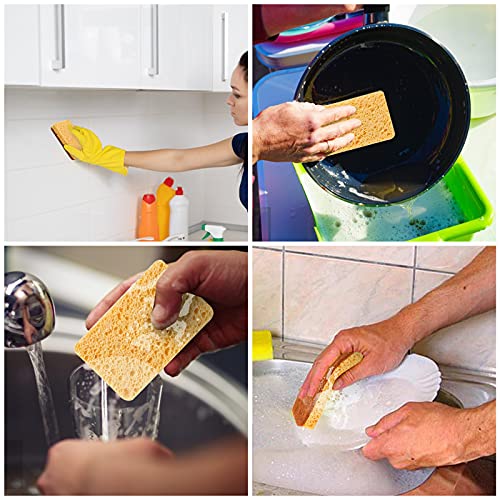 12 Pack Kitchen Dish Sponges, Natural Plant Palm Fiber Scrub Sponge with Non Scratch