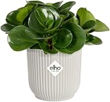 elho Vibes Fold Round Mini Pot 11.1 cm Indoor White view 9