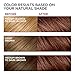 L'Oreal Paris Excellence Creme Permanent Hair Color, 6 Light Red Brown,100 percent Gray Coverage Hair Dye, Pack of 3