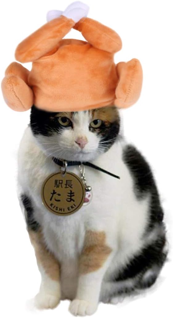 Cat Thanksgiving Turkey Drumstick Hat Small Dog Kitten Hat for Cosplay Accessories Halloween Xmas Party Costume Favors