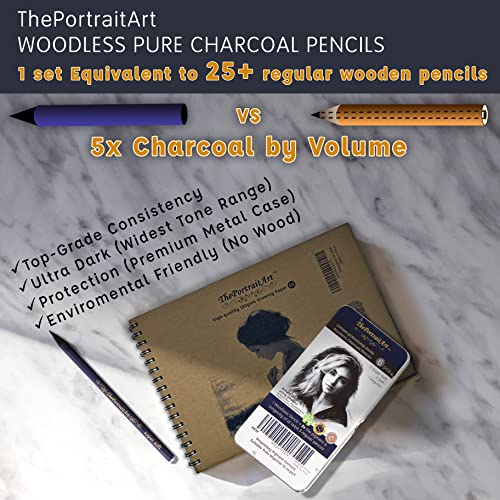 ThePortraitArt Artist Woodless Pure Charcoal Pencils Ultra Soft and