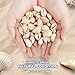 68-70 pcs/Box Natural Spiral Shell Beads Seashells Beach Seashells Cowrie Shells Charms and Beads with Holes for DIY Craft Jewelry Making, Bracelet Necklace Making, Seashell Candle Making(18-20mm)