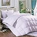 Three Geese Cozy Goose Down Feather Fiber Comforter King Size,All-Season Quilted with Corner Tabs,750 Fill Power,43oz Fill Weight,Soft Egyptian Cotton/Plush Fiber Blended Cover…