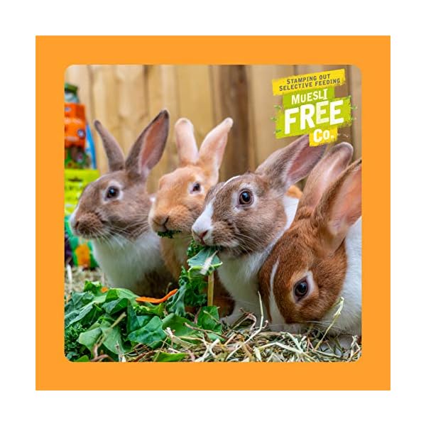 Burgess Excel Rabbit Adult Oregano, 2 kg