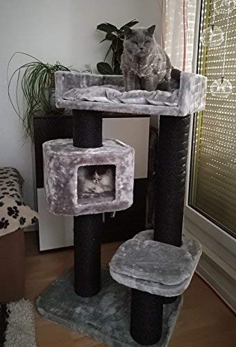 devon rex cat tree