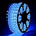DELight 150ft LED Rope Light Valentines Home Holiday Party Disco Restaurant Cafe Decor 2 Wire 1620pcs Bulbs Blue