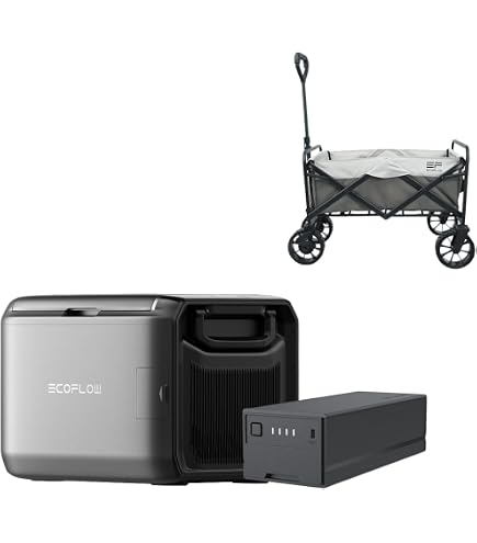 Amazon.com: EF ECOFLOW 298Wh Plug-in Battery for Glacier Classic