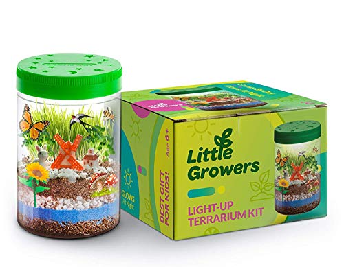 Momila DIY Terrarium Kit for Kids, Science Kits, for Boys & Girls Age 6 , 7, 8, 9, 10, Year Old - Stem Toys - w/ LED Light On Lid & Lifelike Miniatures