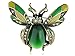 Alilang Peridot Green Crystal Rhinestone Ladybug Fly Insect Fashion Jewelry Brooch Pin