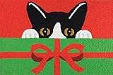 Jellybean Kitty & Present Holiday Décor Indoor Outdoor Washable 21